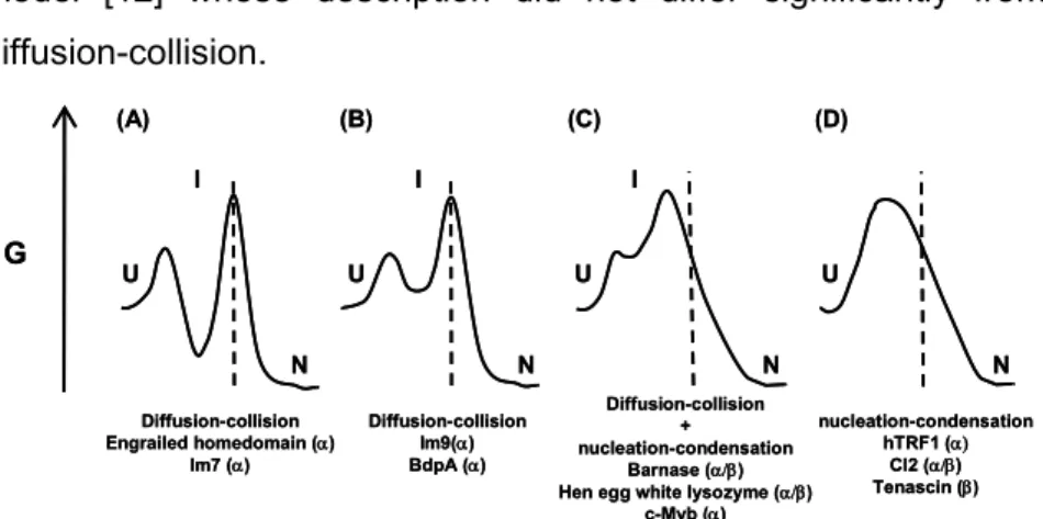 Figure 1.1: Simplified energy diagrams for folding of small single-domain proteins  describing the differences between diffusion-collision and nucleation-condensation  models