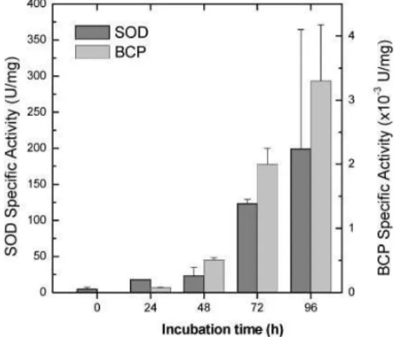 Fig.  3.6.  Variation  of  the  BCP  and  SOD  specific  activity  as  a  function  of  incubation  time  of  the  SulfCP92  proteome.  Error  bars are from the standard deviation of activity assays (n =2).  