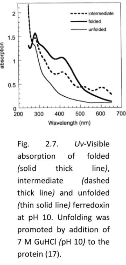 Fig.  2.6.  Activity  profiles  of  oxidative  stress  proteins  during  thermal  perturbation.  The  specific  activity  of  superoxide  dismutase  (SOD) and peroxiredoxin (Prx) were  measured as function of incubation  at  90  °C.  The  increase  in  the