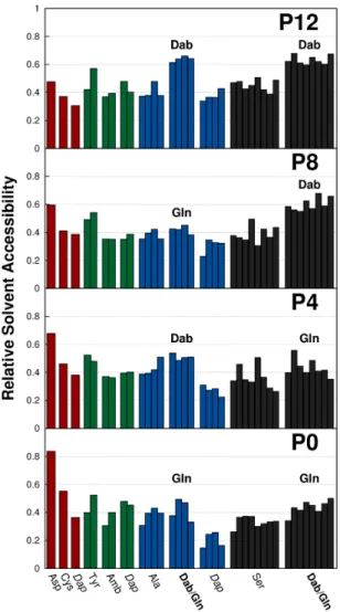 Figure 4.4: Average relative solvent accessibility of each residue ob- ob-tained from the MD simulations