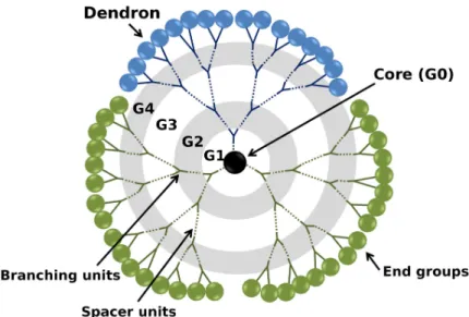 Figure 1.2: Schematic representation of a dendrimer composed by three dendrons. Adapted from [1].