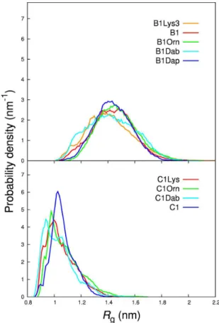Figure 3.2: Radius of gyration probability density histograms for the B1- and C1- dendrimer series (top and bottom respectively).