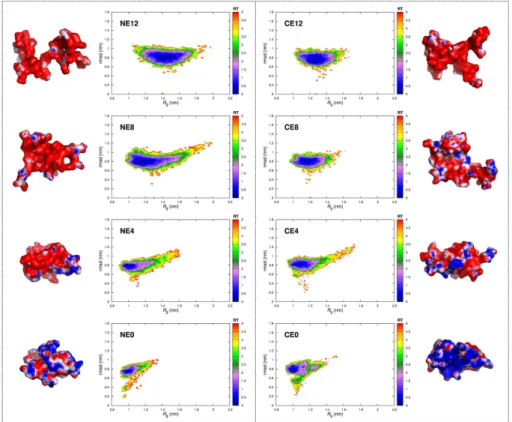 Figure 3.5: Energy profiles and corresponding lowest energy conform- conform-ers for the NE- (left) and CE-series (right)