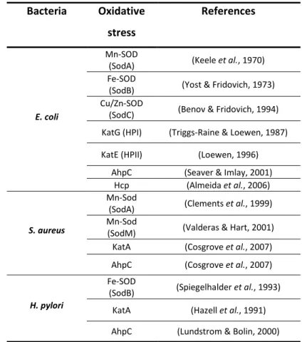 Table 1.2| Major defense mechanisms used by bacteria studied in this thesis  against oxidative stress