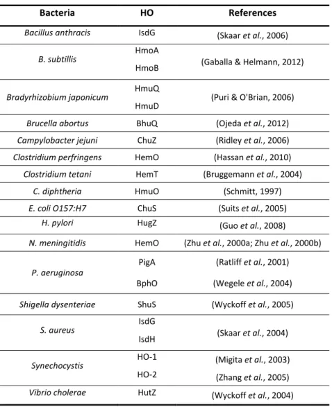 Table 2.3| Bacterial haem oxygenases.