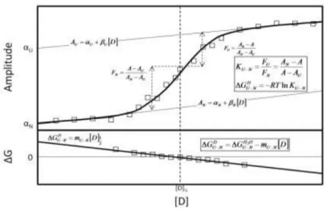 Figure  1.10:  Upper  panel,  shows  a  typical  denaturation  curve  where  the  transition  can  be  monitored by an adequate spectroscopic measurement, as a function of denaturant concentration  [D]