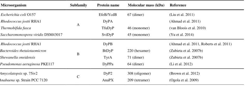 Table 1.5.   Dyp-type  peroxidases  from  bacterial  (A-C  subfamily)  and  fungal  (D  subfamily)  origin  characterized  thus  far