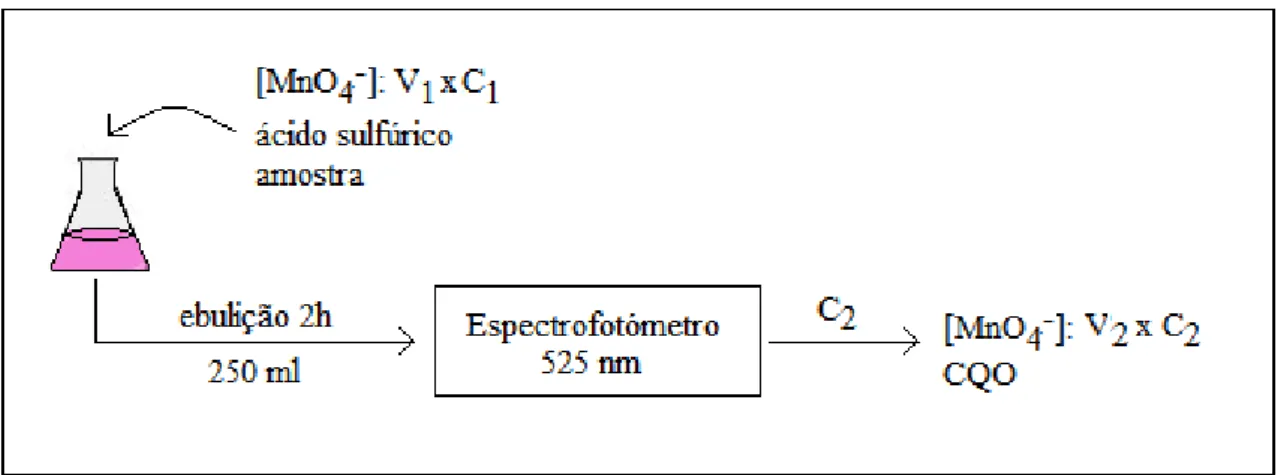 Figura 21 – Esquema da montagem laboratorial evidenciando as variáveis relativas ao balanço mássico ao  permanganato