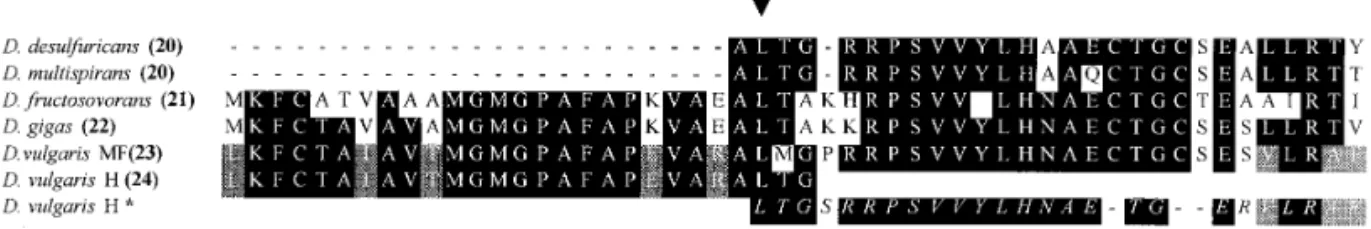 FIG. 1. Comparison of the N-terminal sequences of Desulfovibrio [NiFe] hydrogenases small subunits