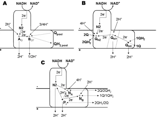 Figure 1.2.8 – Direct coupling mechanisms proposed by Esposti and Ghelli (A)  [3], Dutton et al (B) [9] and Brandt (C) [12]