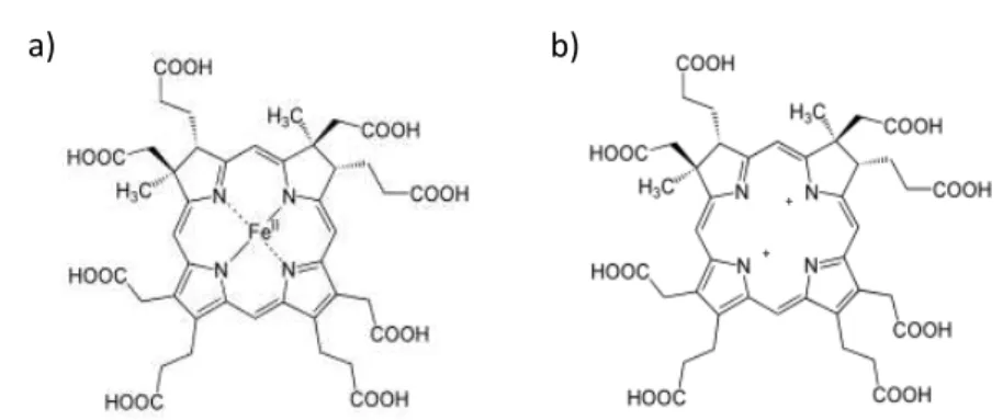 Figure 7:  Schematic representation of (a) siroheme and (b) sirohydrochlorin  molecules