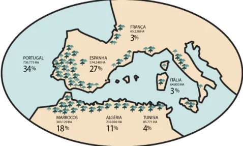 Figura 2 - Localização do montado de sobro no mundo. Fonte: APCOR 