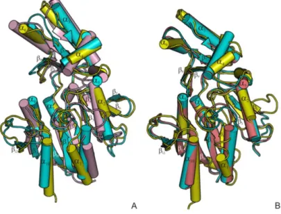 Figure  3.9  Structural  comparison  of  T.  thermophilus  MpgP  with  its  orthologous  members of  the  MPGP family