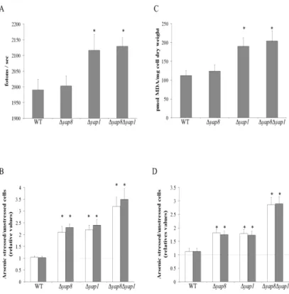Figure 3.2:  Increase in intracellular oxidation and lipid peroxidation caused by  arsenic stress 