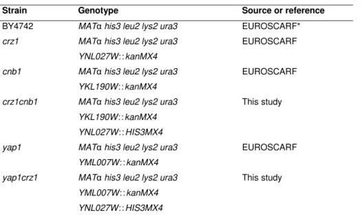 Table 1. S. cerevisiae strains used in this work. 