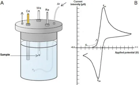 Figure  2.  1  -  Cyclic  Voltammetry  setup  and  representative  Voltammogram  with  current  intensity  (µA)  plotted  vs  Applied  potential