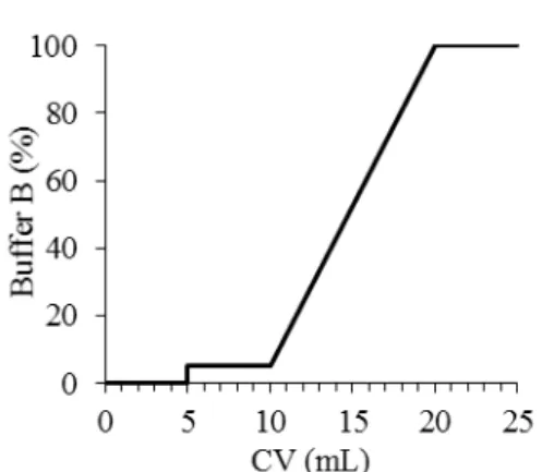 Figure  2.2:  Schematic  representation  of  HTP chromatography elution gradient with  buffer D (1 M potassium phosphate, 0.05 