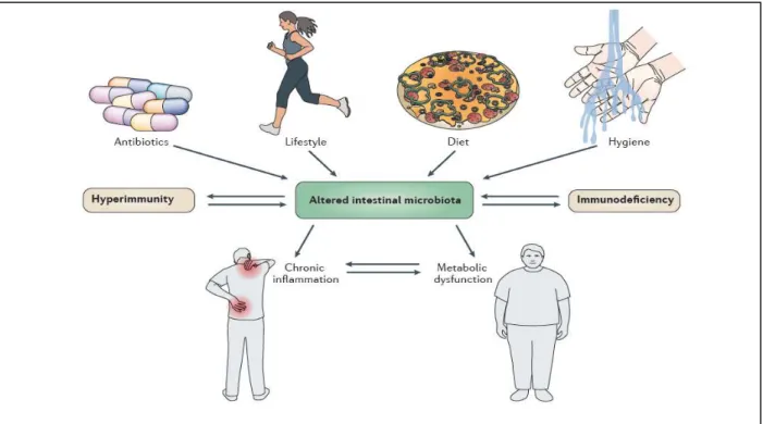 Figure 1.1  –  Factors responsible for changing the gut microbiota composition and the effects of dysbiosis on  hosts’ health