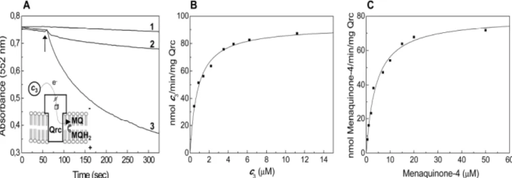 Figure  3.1.6Figure  3.1.6Figure  3.1.6