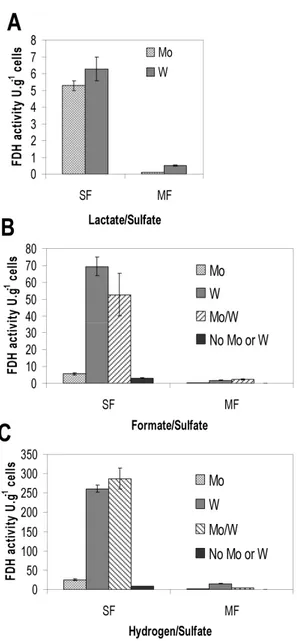 Figure 2.1. FDH activity in soluble fraction (SF) and membrane fraction (MF)  of D. vulgaris cells grown with Mo (light grey), W (dark grey), both metals  (stripes) or without either metal (black) added to the culture medium, and  with different electron d