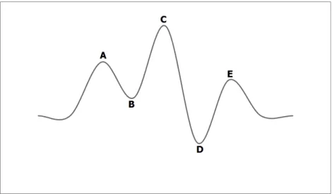 Figure 2.4: Representation of a multiple loal minima and maxima funtion. This type