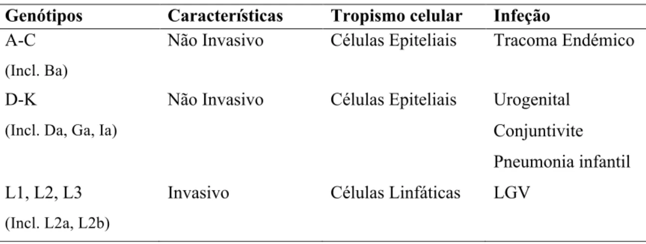 Tabela 2 - Características associadas aos diferentes genótipos de C. trachomatis  Genótipos  Características  Tropismo celular  Infeção  A-C 