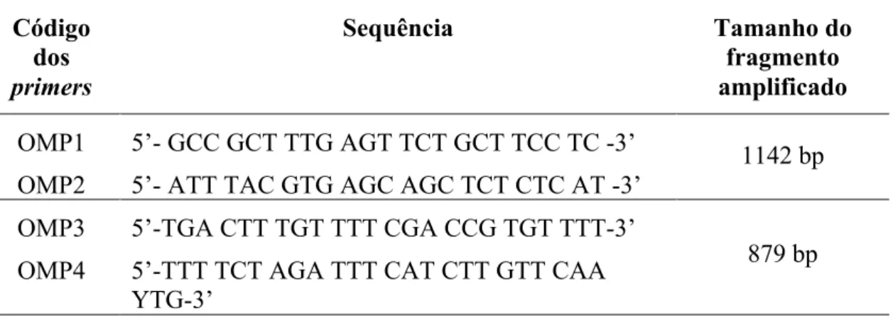 Tabela 6 - Primers utilizados na técnica de Nested-PCR para deteção de um fragmento  do gene omp1 de C