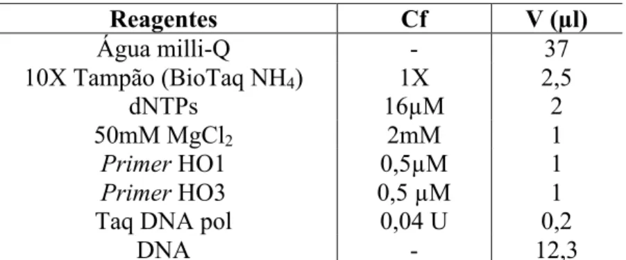 Tabela 12 - Condições de PCR para a amplificação de uma sequência do gene ccpB de  N. gonorrhoeae  Reagentes  Cf  V (µl)  Água milli-Q   -  37  10X Tampão (BioTaq NH 4 )  dNTPs  1X  16µM  2,5 2  50mM MgCl 2 2mM  1  Primer HO1  Primer HO3  0,5µM  0,5 µM  1 