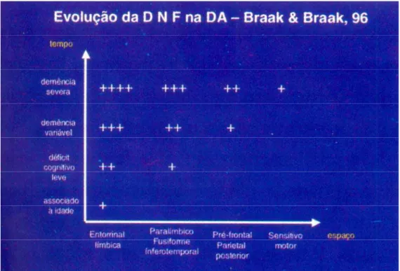 Fig. 13: Gráfico mostrando as principais áreas acometidas pelos emaranhados  neurofibrilares (DNF – degeneração neurofibrilar) durante a evolução da gravidade  do quadro clínico de Doença de Alzheimer (BRAAK E BRAAK, 1996)