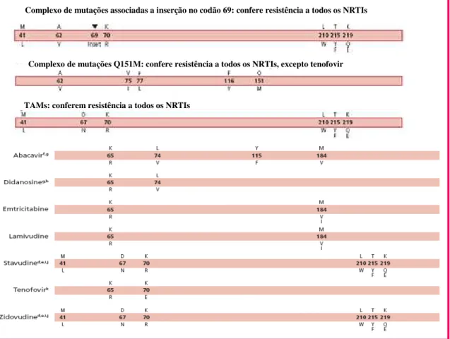 Figura 1.26 Listagem compilada pela IAS-USA das mutações na região codificante da transcritase reversa do  gene  pol  associadas  à  resistência  aos  NRTIs,  incluindo  as  TAMs  e  dois  complexos  de  mutações  associadas  a  resistência a múltiplos NRT