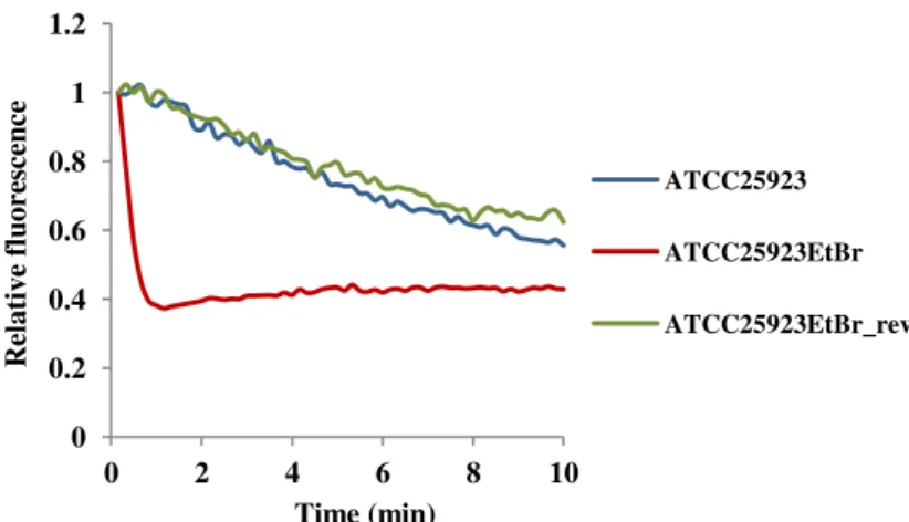 Figure  2.2.  Assessment  of  efflux  activity  by  real-time  fluorometry  for  ATCC25923  (blue)  and  its  derivatives ATCC25923 EtBr  (red) and ATCC25923 EtBr_rev  (green)