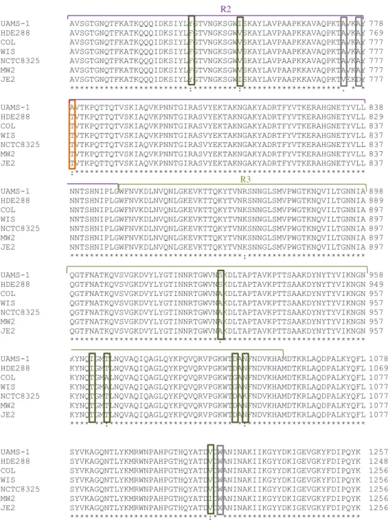 Figure 9 - Alignment of the amino acid sequence of ATL of  S. aureus strains UAMS-1, HDE288,  COL,  WIS,  MW2,  NCTC8325  and  JE2  (CLUSTAL  Omega)