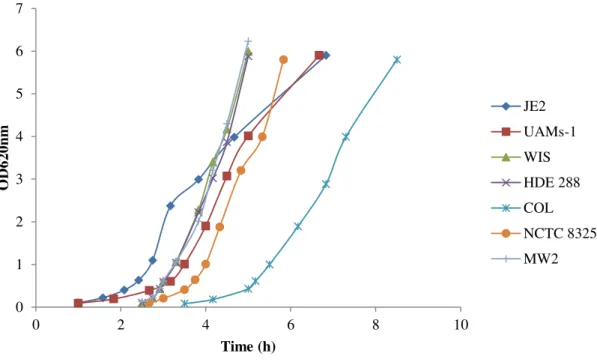 Figure  10  –  Growth  curve  of  strains  COL,  WIS,  HDE288,  UAMS-1,  JE2,  NCTC8325  and  MW2  in  complex medium at 37ºC