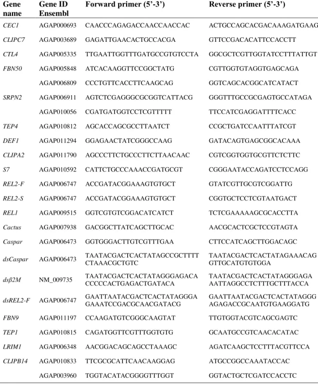 Table 1. Primers used in qRT-PCR and RNAi assays. 