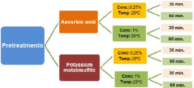 Figure 1.  Experimental design for the pretreatment applied to the kiwi. 