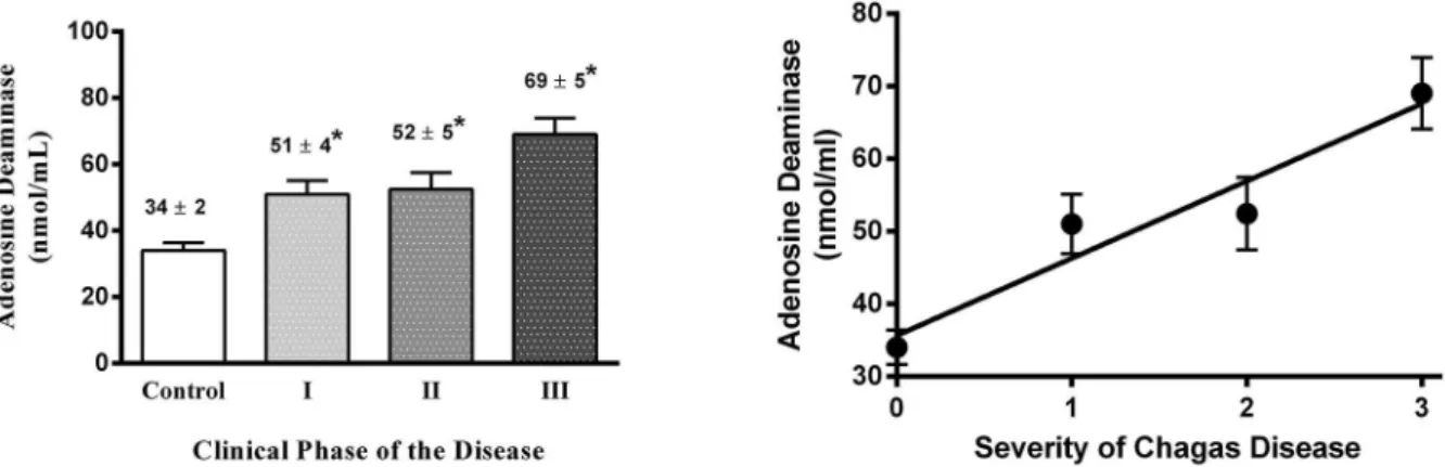 Fig. 2 - Adenosine deaminase serum activity related to Chagas disease stage. On the left is shown ADA activity in control and chagasic patients in relation to disease severity