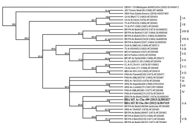 Fig 2 - Phylogenetic tree of envelope gene sequences from SLEV_BR/MT-CbaH364/2012, SLEV_BR/MT-CbaAr499/2013 and Saint Louis encephalitis virus (SLEV) genotypes deposited  at GenBank (NCBI), using the neighbor-joining method, Tamura-Nei distance model and 1