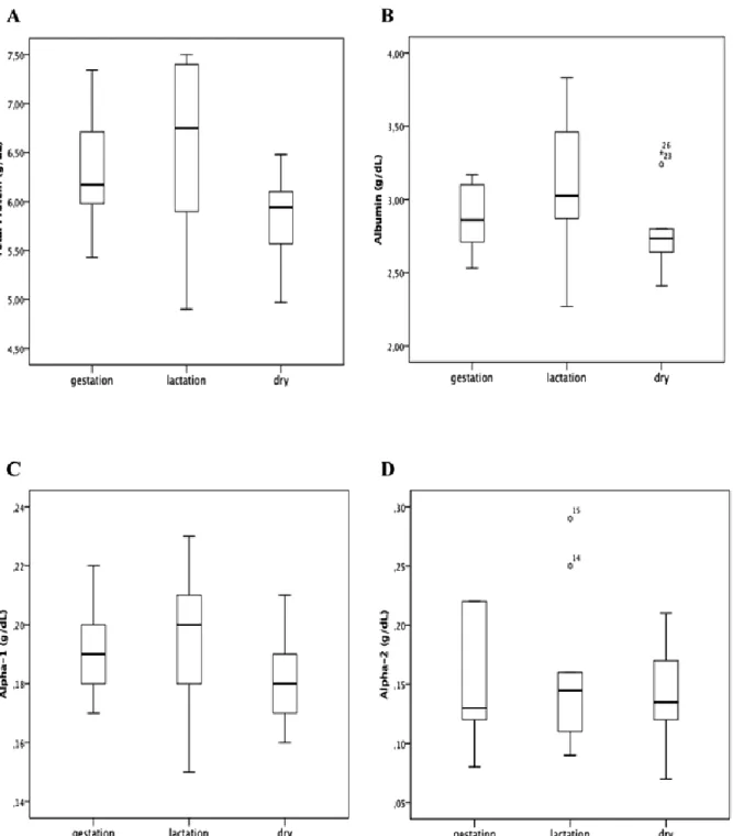 Figure 7. Box plot presentations of serum concentrations of total protein and protein fractions by physiologic stages