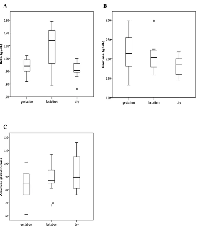 Figure 8. Box plot presentations of serum concentrations of total protein and protein fractions by physiologic stages