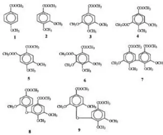 Figura 1.6 – Ácidos carboxílicos metilados resultantes da oxidação da lenhina com  permanganato [12]