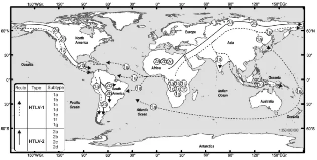 Fig. 1 - Origin of HTLV-1 and HTLV-2 in the Americas. Based on the references 53, 116, 120 and 128.