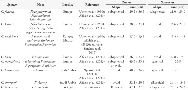Table 2. Comparative data of Caryospora spp. described from Falconidae (Falconiformes).