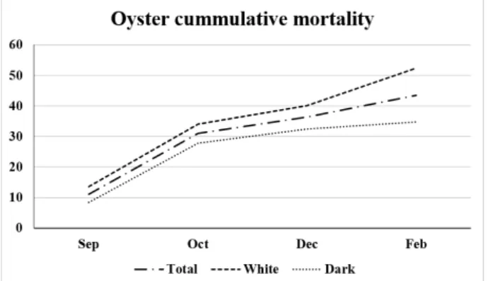 Figure 3. Total cumulative mortality of the oysters (%) and by oyster  shell color (white and dark-gray)