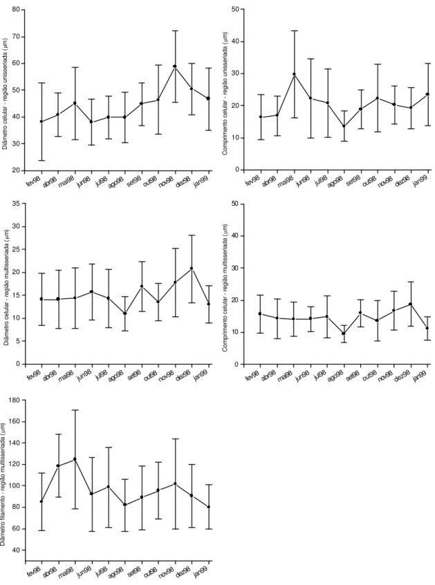 Figura 6 – Variação dos caracteres morfométricos (média e desvio padrão) em  Schizomeris leibleinii proveniente de P3 (Ribeirão Claro, município de  Guapiaçu/SP) durante 11 meses de amostragem (fevereiro/1998; abril/1998– janeiro/1999)
