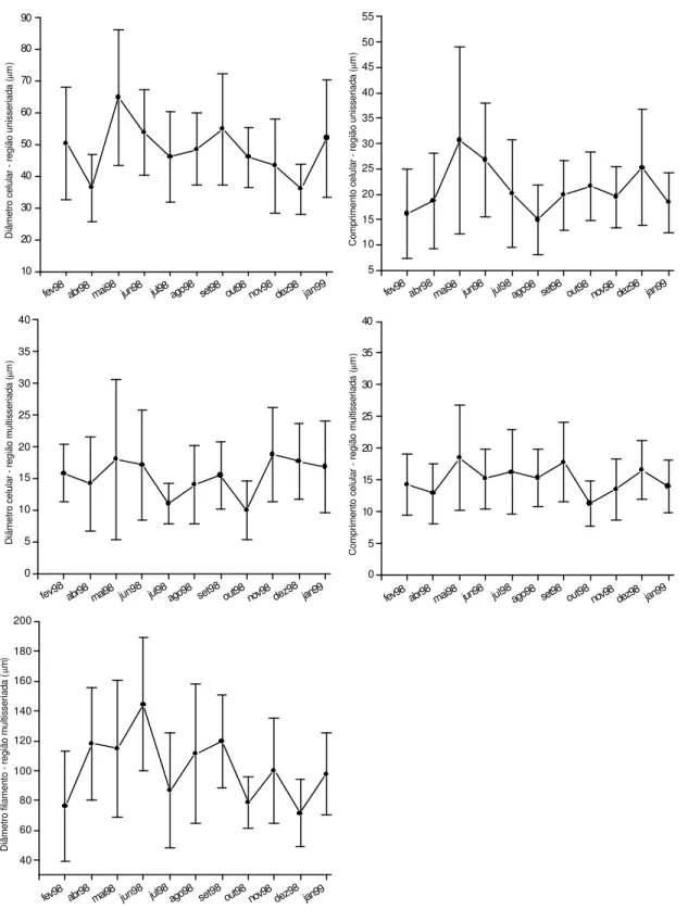 Figura 8 – Variação dos caracteres morfométricos (média e desvio padrão) em  Schizomeris leibleinii proveniente de P4 (Ribeirão Claro, município de  Guapiaçu/SP) durante 11 meses de amostragem (fevereiro/1998; abril/1998– janeiro/1999)