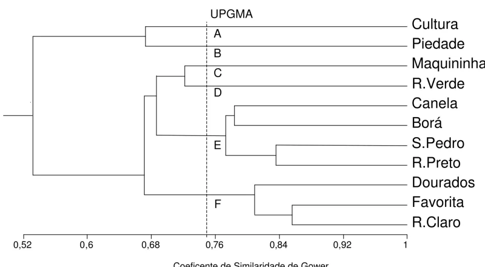 Figura 10 – Dendrograma da análise de grupamento das características morfométricas e morfológicas em Schizomeris  leibleinii de diferentes populações