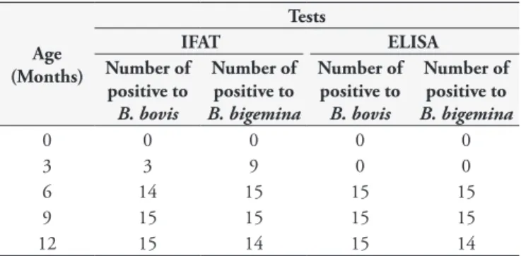 Table 2. GenBank accession numbers for the msa-1, msa-2b and  msa-2c gene sequences identified in the present study.