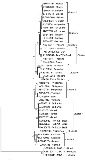 Figure 2. Phylogenetic analyses on B. bovis msa-2b sequences. 