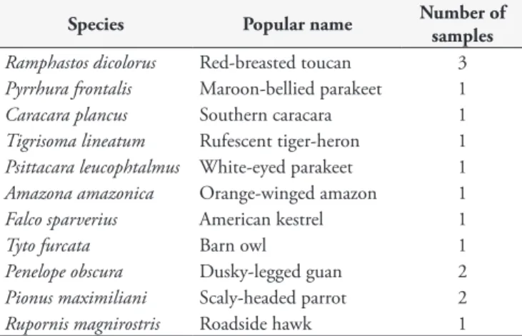 Table 1. Number of birds sampled, according to the species and  popular name.