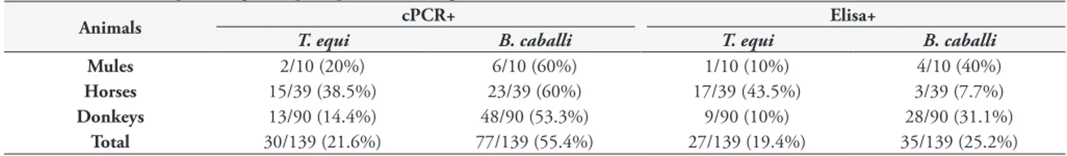 Table 3. Number and percentage of equids co-positive to T. equi and B. caballi.